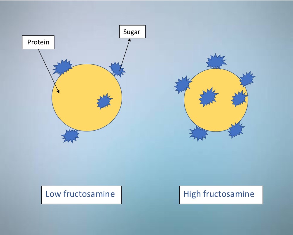 A61A85FB-E967-4764-8005-80BB24E81EF7